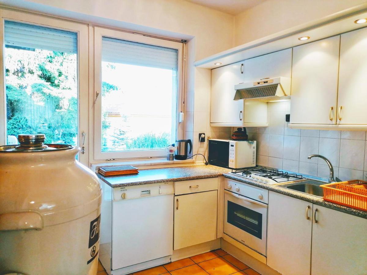 Apartment Julia Vendeghaz