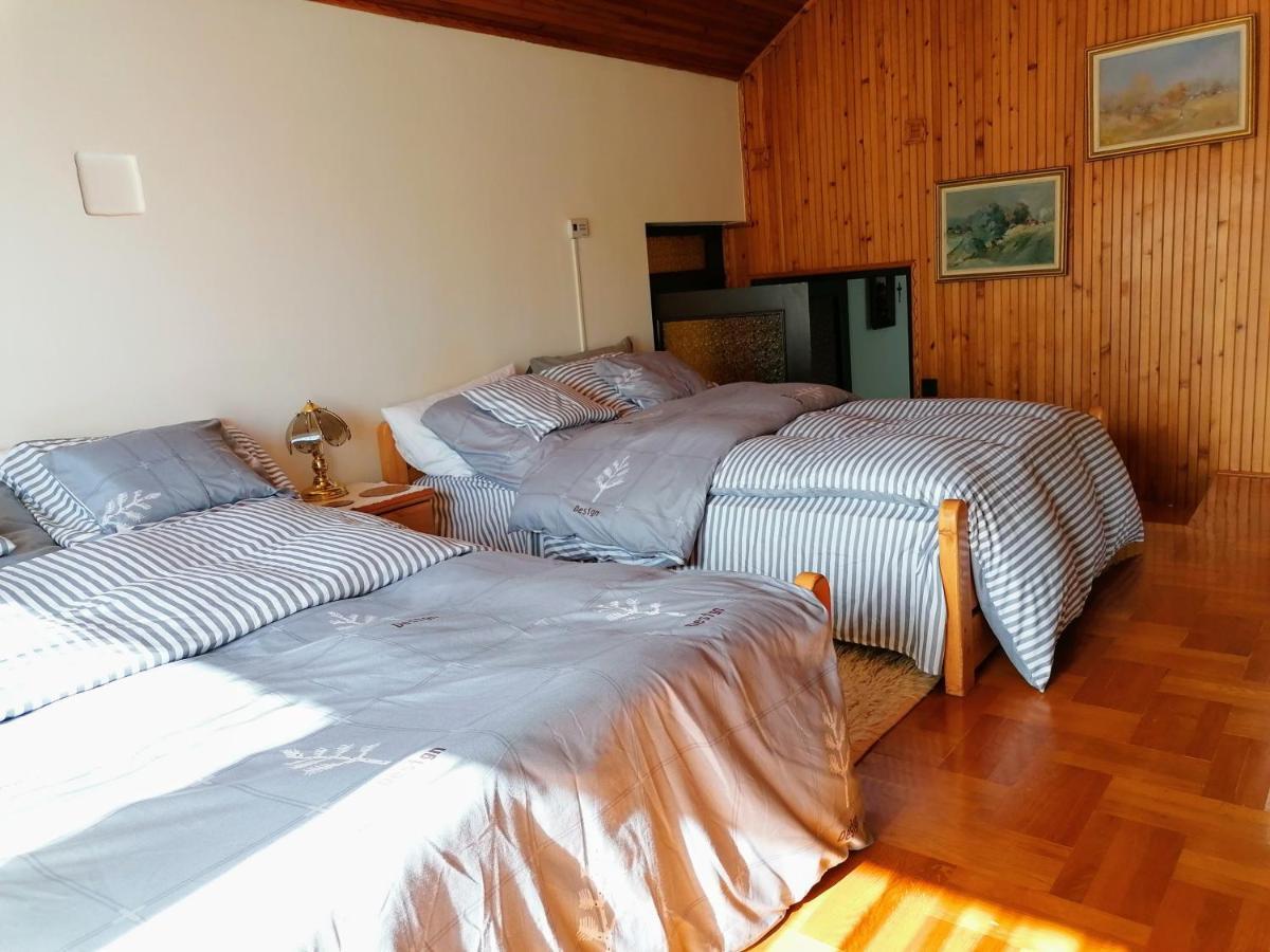 Apartment Julia Vendeghaz *